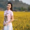 เสื้อตรุษจีนผู้หญิง (เสื้อกี่เพ้า) แขนสั้น สีชมพู ลายนกยูง